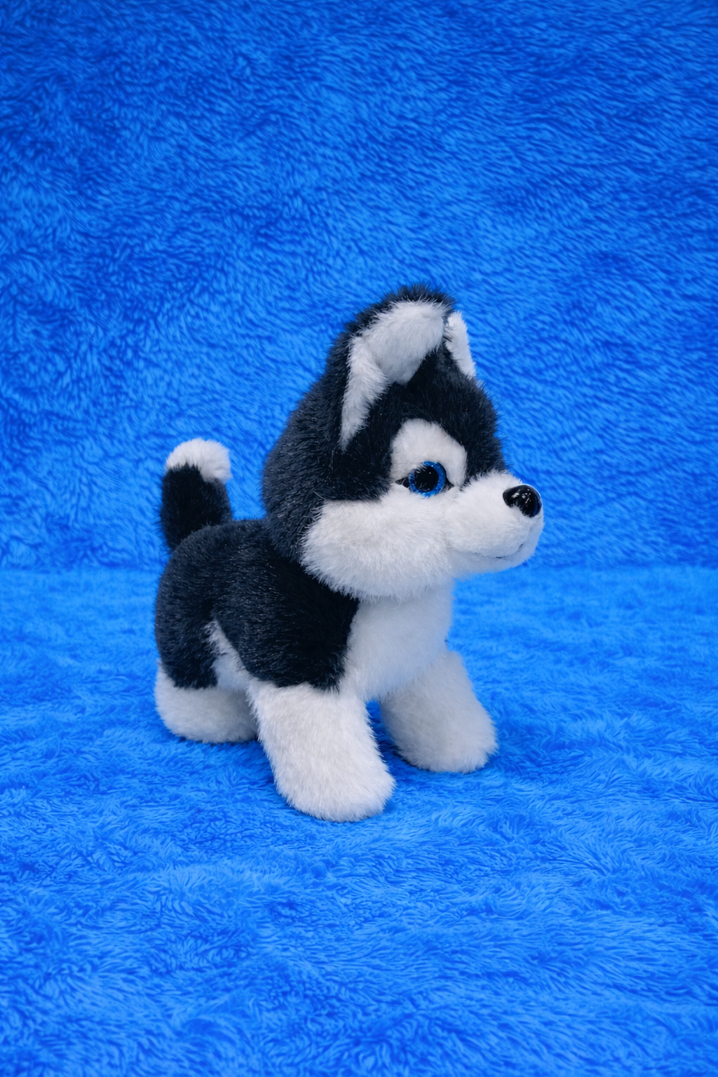 Softmate Husky Puppy Plush Toy for Kids