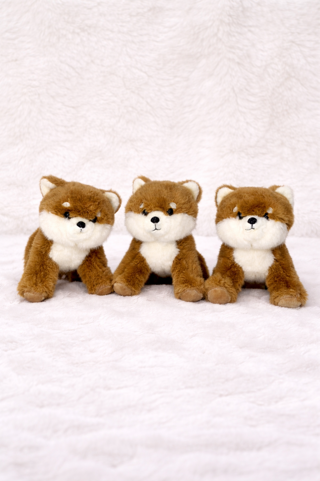 Softmate Kitty Cat Plush Soft Toy for Kids